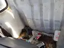 TRUCK ALL TIPPER NIMS