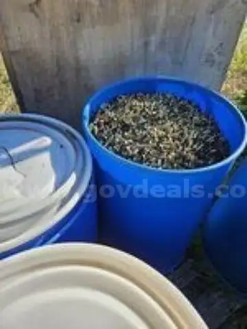 BRASS AMMUNITION SHELLS IN A BARREL ON A PALLET