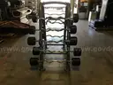 MATRIX CURL BAR STAND/ HOLDER WITH WEIGHTS