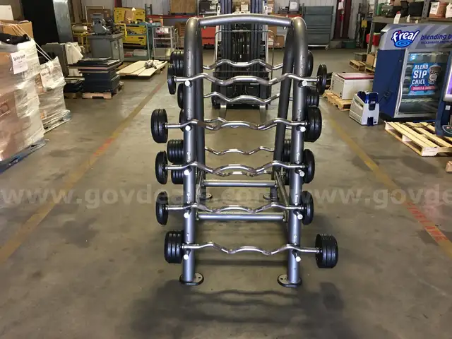 MATRIX CURL BAR STAND/ HOLDER WITH WEIGHTS