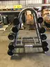 MATRIX CURL BAR STAND/ HOLDER WITH WEIGHTS