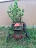 1982 Diesel International Tractor