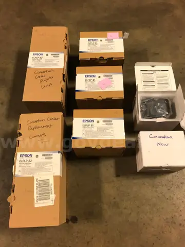EPSON PROJECTOR BULBS