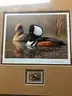 ARKANSAS DUCK STAMP/PRINTS 1981-2011