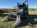 Almaco Plot Combine