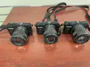 Lot of 3 Canon Cameras
