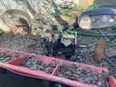 Boss 10 Foot Snow Plow