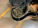 Assorted Used Music Instruments