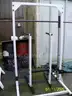Squat Rack and Pull Up