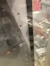 Display Case