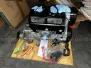 Rotax 447 2-Stroke Engine