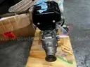 Rotax 447 2-Stroke Engine