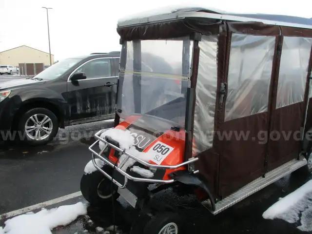 Custom Golf Cart - 50