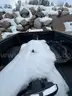 BED ONLY 2023 Chevy Silverado Regular Bed