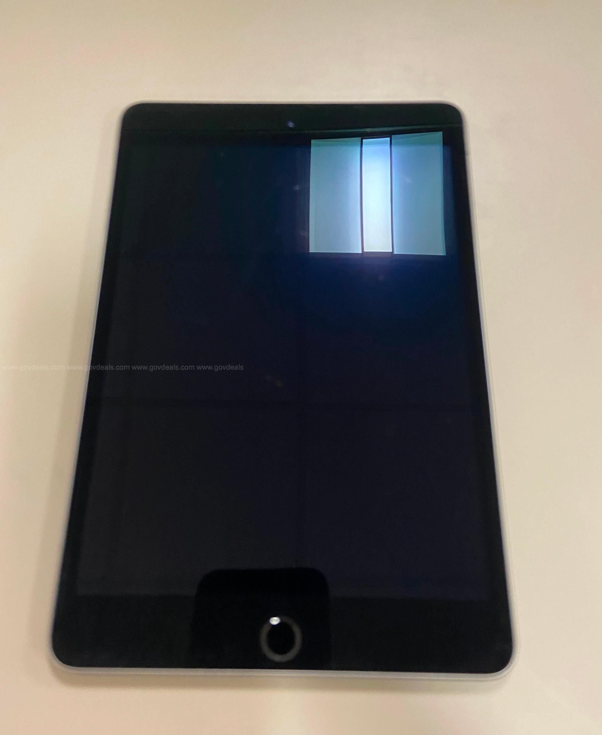 iPad mini 4 - WiFi only - 128 GB - purchased 3/2018 - no cords