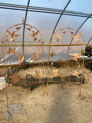 1 Decorative Archway and Trellises