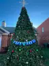 20 Foot Extended Branch Christmas Tree