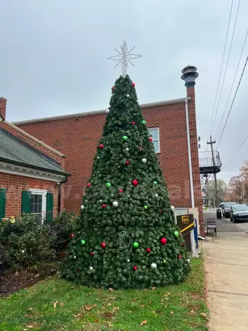20 Foot Extended Branch Christmas Tree