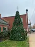 20 Foot Extended Branch Christmas Tree
