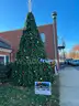 20 Foot Extended Branch Christmas Tree