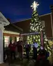 20 Foot Extended Branch Christmas Tree