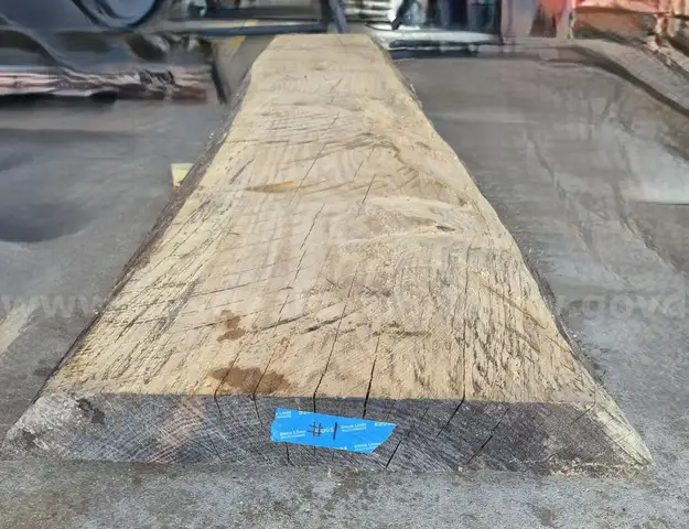 White Oak Live Edge Wood Slab