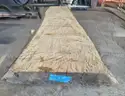 White Oak Live Edge Wood Slab