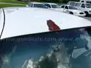 2009 Ford Crown Victoria