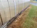 Greenhouse