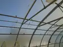 Greenhouse