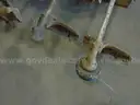 Weed Eaters