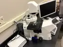 Inverted Fluorescence Microscope