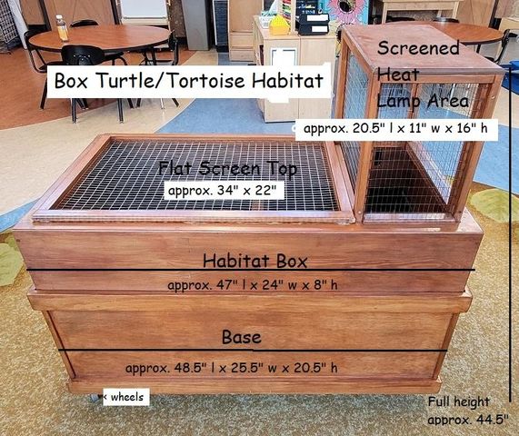 Box Turtle Habitat 