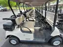 15 2017 EZ-GO RXV Gas Golf Carts