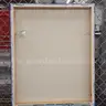 1 Canvas Print Art Piece