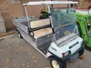 1 Club Car Cart