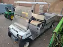 1 Club Car Cart