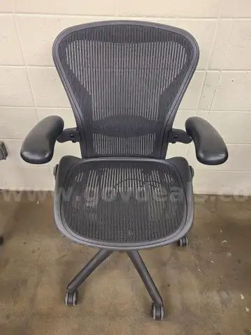 1 Herman Miller Office Chair