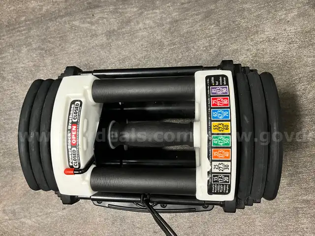 Adjustable Weights