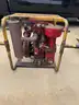Hale water pump