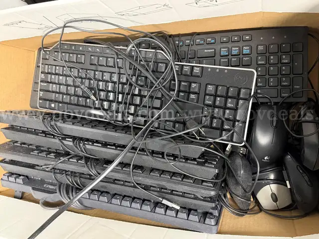 Keyboard & Mice