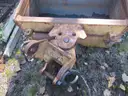 Ditching Bucket (Fits Case 580)