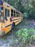 2006 International PB305
