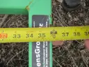 2012 Greens Groomer