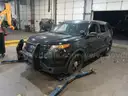 2015 Ford Police Interceptor