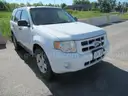 2009 Ford Escape Hybrid 4WD