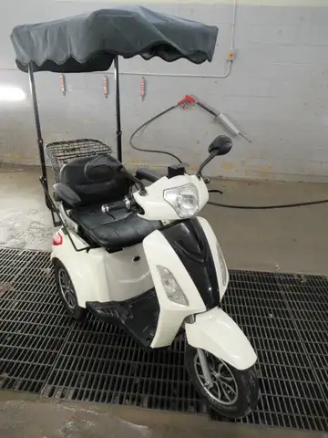 Electric 3 Wheel Scooter