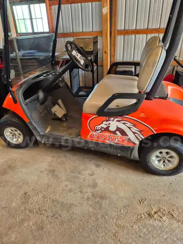 2015 Yamaha Golf Cart
