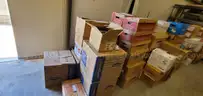 Variety of Books to Include Fountas &#x26; Pinnell