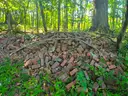 Large Lot of Bricks